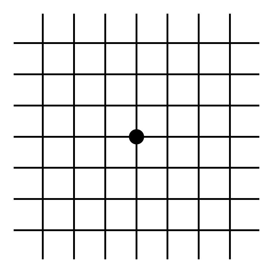 Amsler Gitter Test